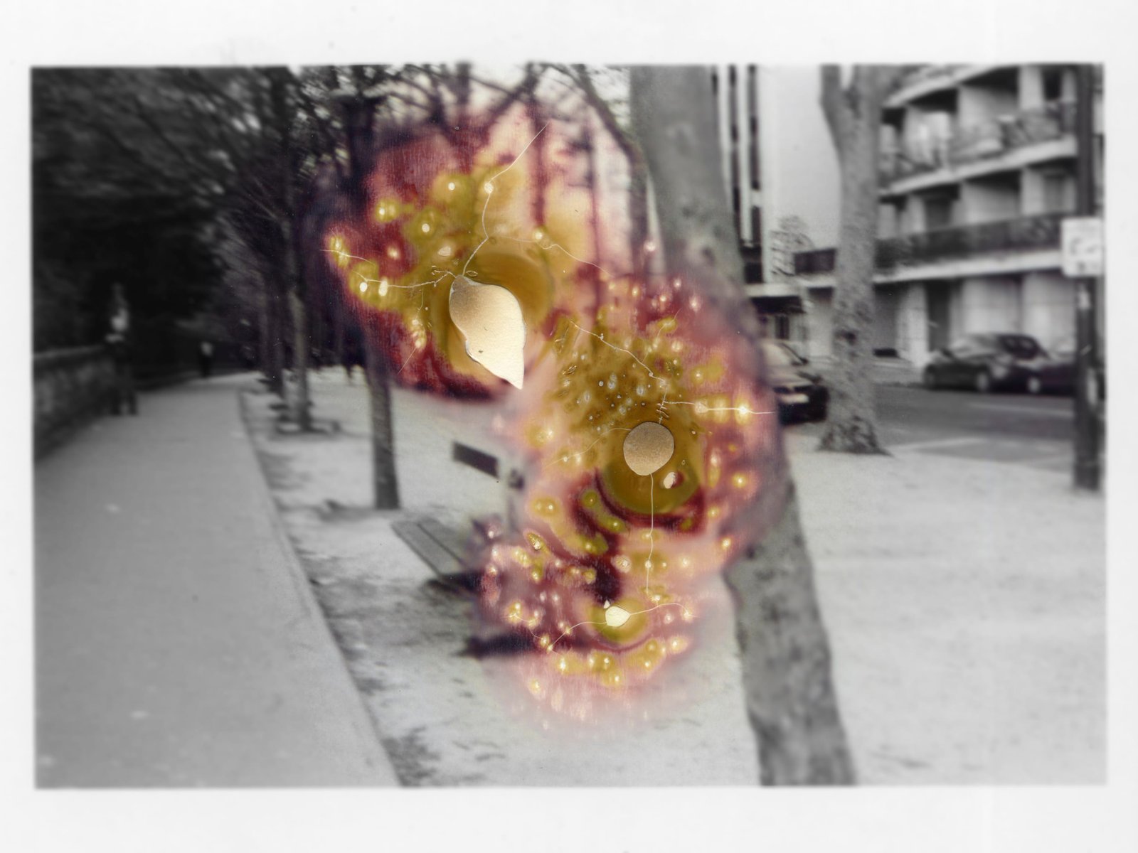 EeZ0 Collectif